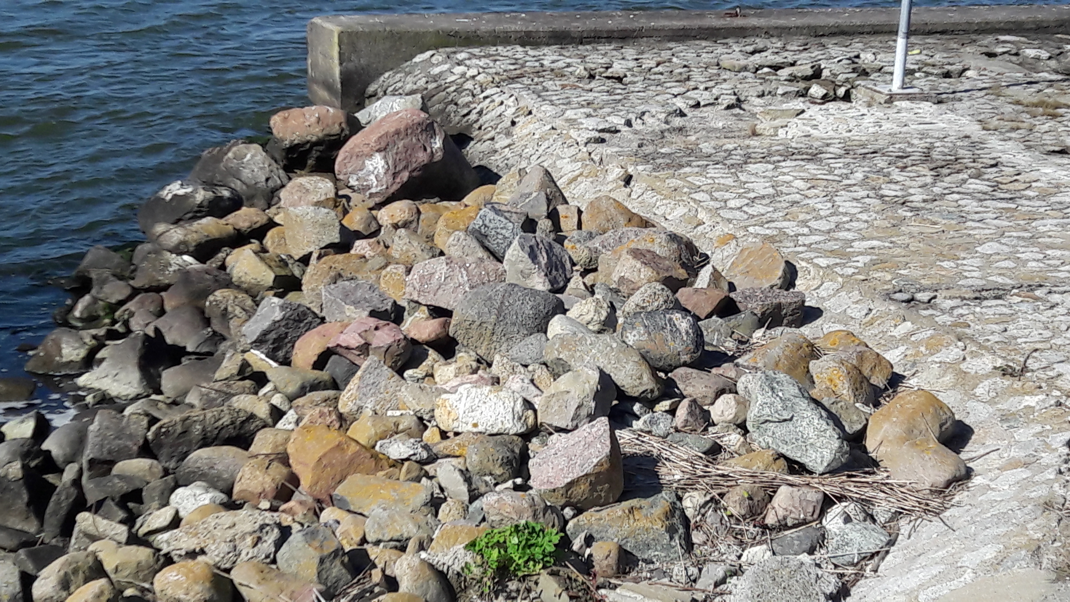 Przetarg na remont ostróg